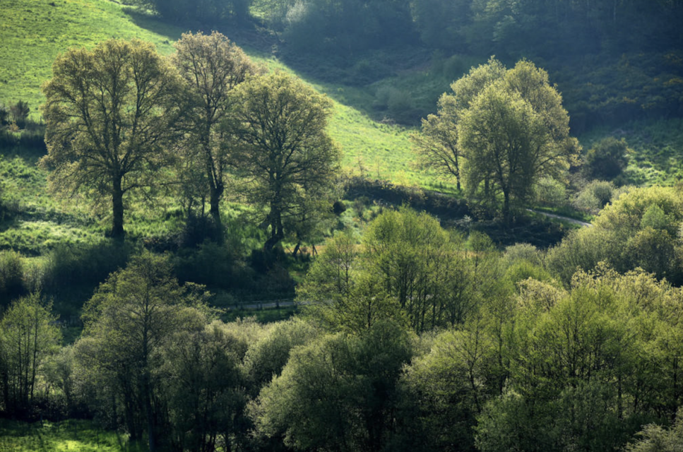 Circuit Trail en Creuse