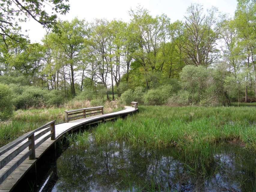 Etang des landes©CREN Limousin - Randonnée Creuse - Randonnée Limousin