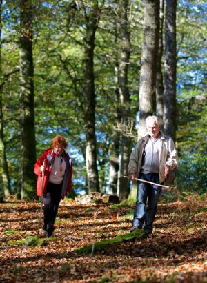 Nos idées de randonnée pour l'automne