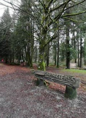 À Guéret, la forêt de Chabrières se prépare pour accueillir des athlètes olympiques