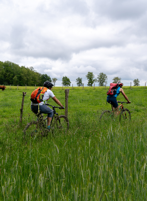 Les calendriers de randonnée cyclistes et pédestres 2022 sont sortis !