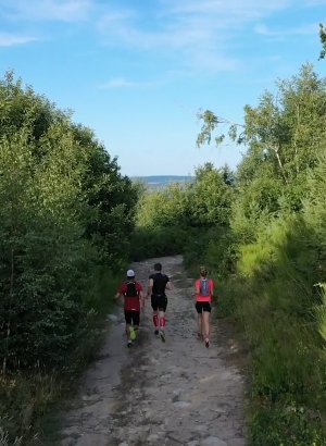 Trail : Itinéraires balisés