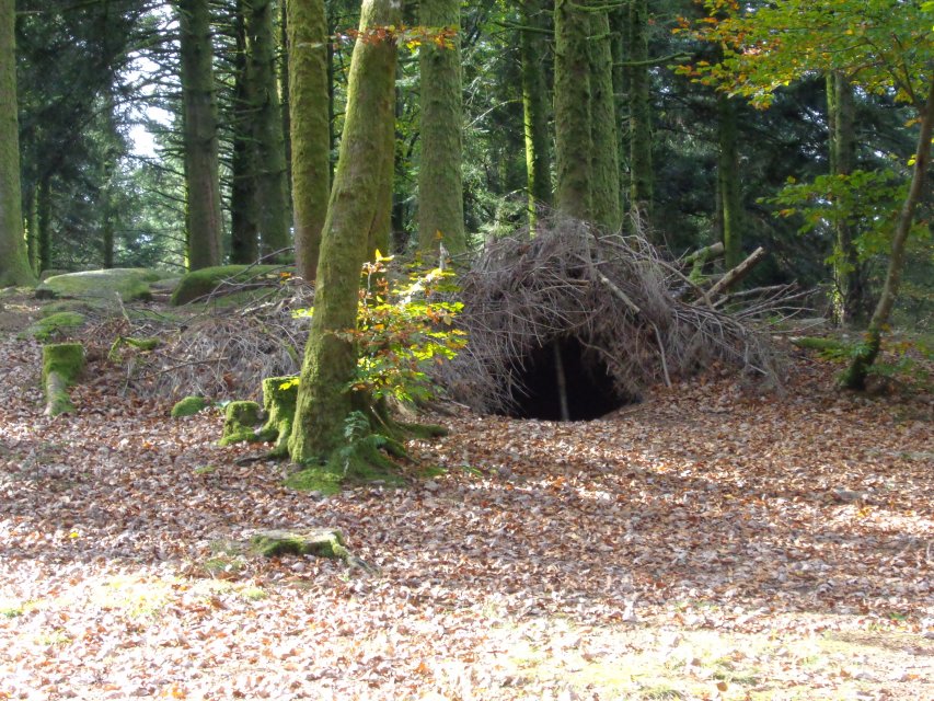 Cabanne dans Chabrières