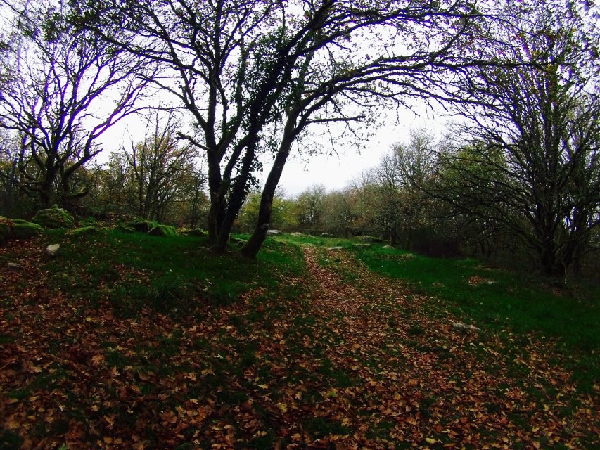 randonnée VTT en Creuse, randonnée en Creuse, randonnée en Limousin randonnée VTT en Creuse, randonnée en Creuse, randonnée en Limousin