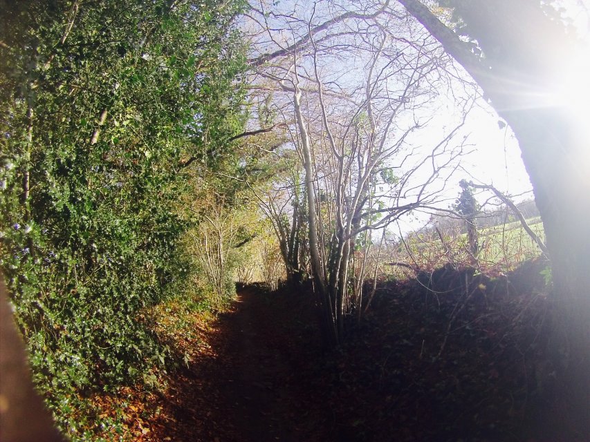 randonnée VTT en Creuse, randonnée en Creuse, randonnée en Limousin randonnée VTT en Creuse, randonnée en Creuse, randonnée en Limousin