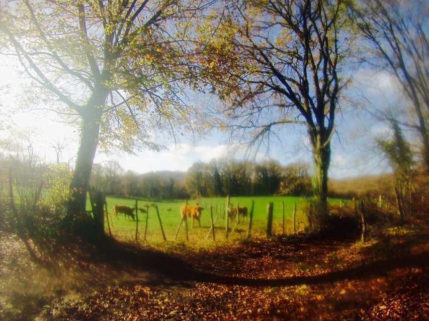 randonnée VTT en Creuse, randonnée en Creuse, randonnée en Limousin randonnée VTT en Creuse, randonnée en Creuse, randonnée en Limousin