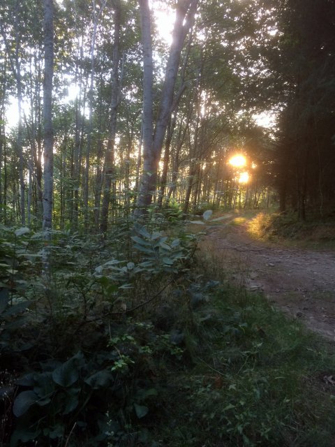 Trail en Creuse, circuits trail en Creuse, trail en Limousin Trail en Creuse, circuits trail en Creuse, trail en Limousin