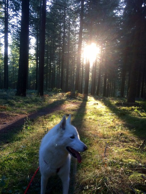 Trail en Creuse, circuits trail en Creuse, trail en Limousin Trail en Creuse, circuits trail en Creuse, trail en Limousin