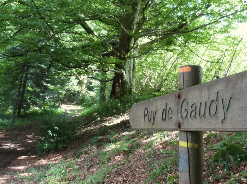 Puy de Gaudy Puy de Gaudy