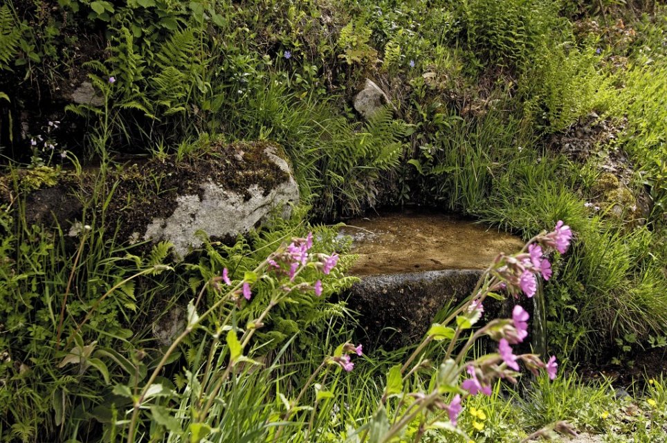 Randonnée Creuse - Randonnée Limousin