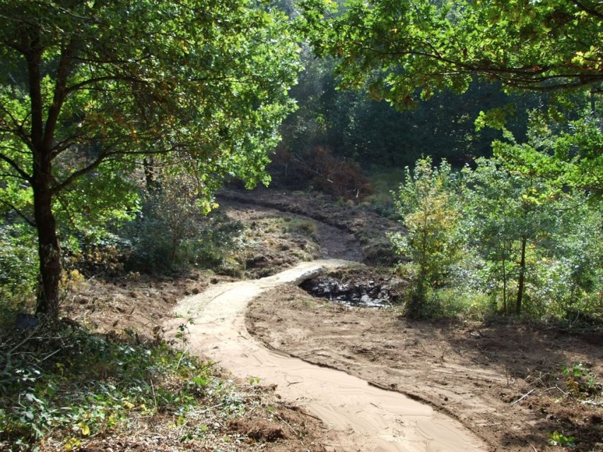 Sentier de rives Lac de Vassivière - Randonnée Creuse