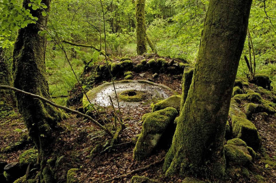 Cascades d'Augerolles ©J.Damase Cascades d'Augerolles - Randonnée Creuse - Randonnée Limousin