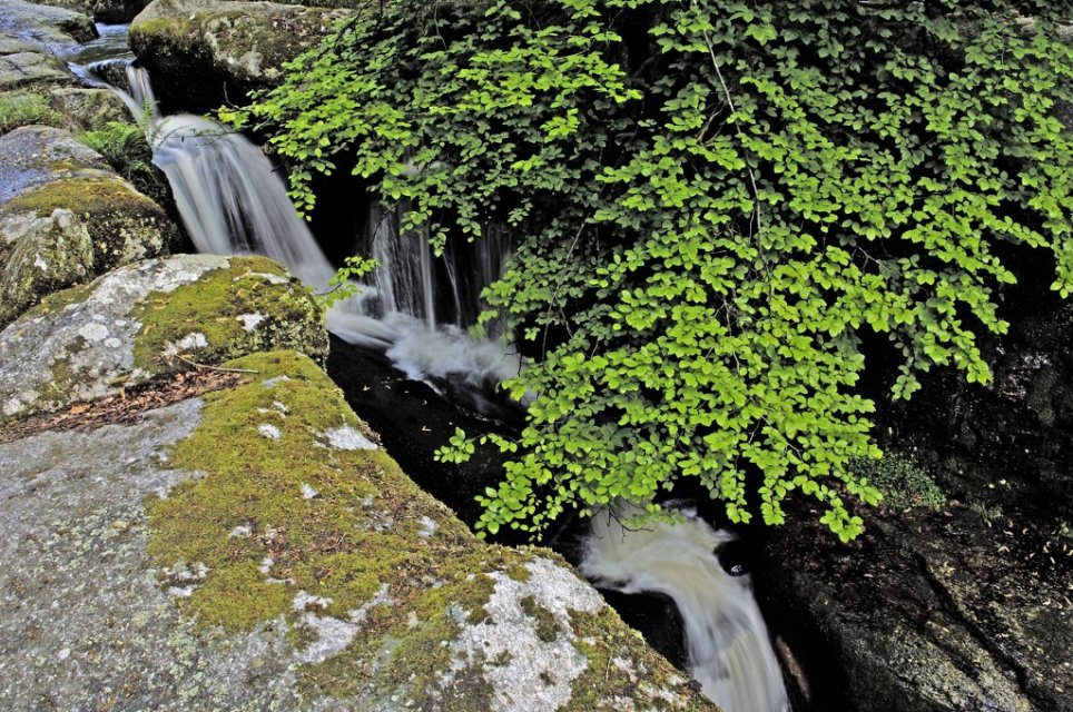 Cascades d'Augerolles ©J.Damase Cascades d'Augerolles - Randonnée Creuse - Randonnée Limousin