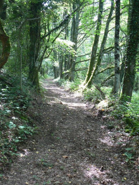 Randonnée Creuse - Randonnée Limousin