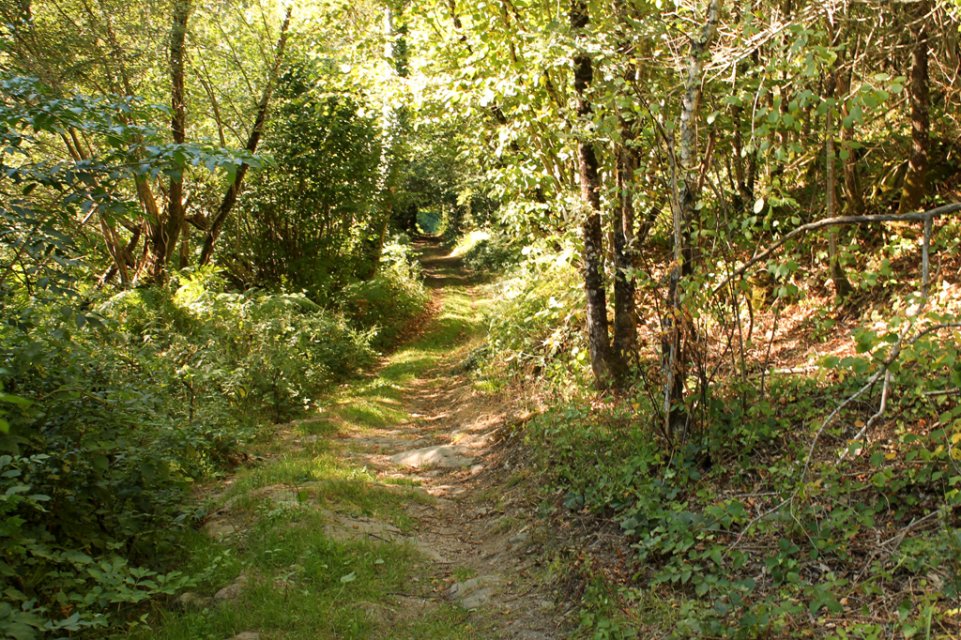 Randonnée Creuse - Randonnée Limousin