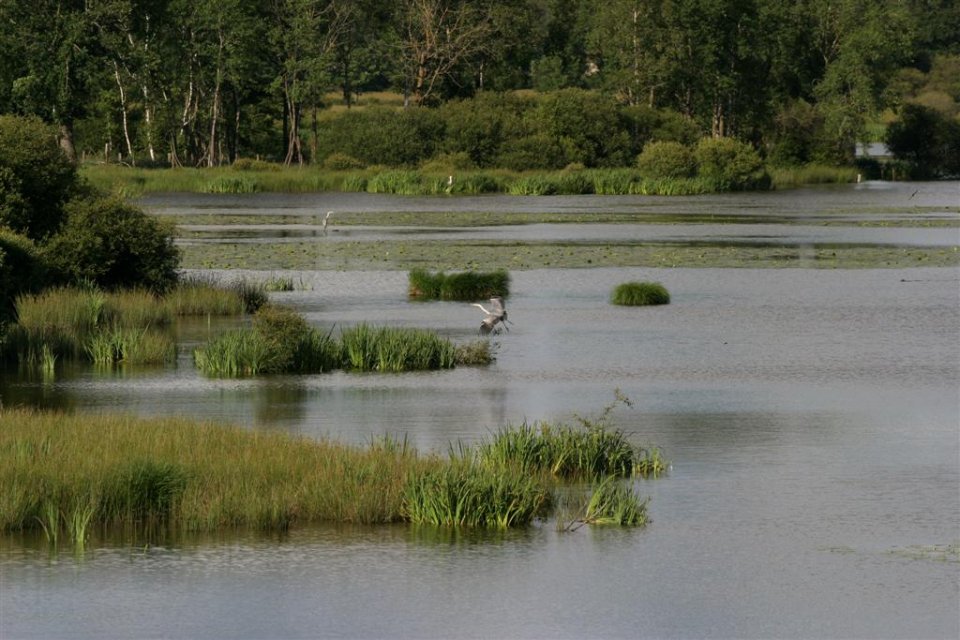 Randonnée Creuse - Randonnée Limousin ©M.Tijeiras