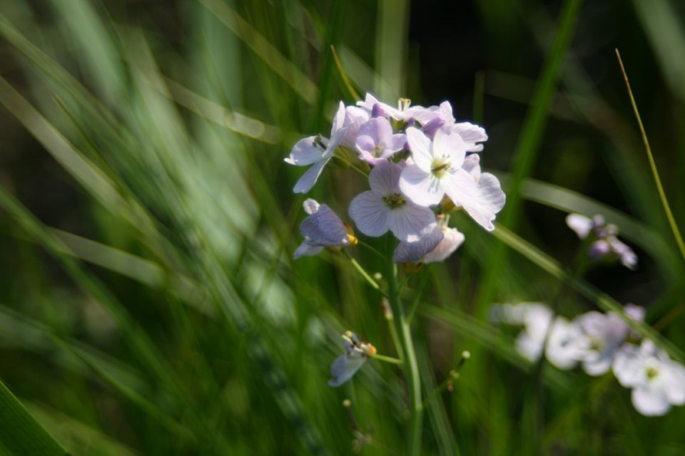 Randonnée Creuse - Randonnée Limousin