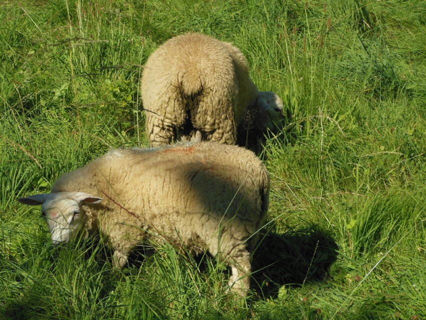 Randonnée Creuse - Randonnée Limousin