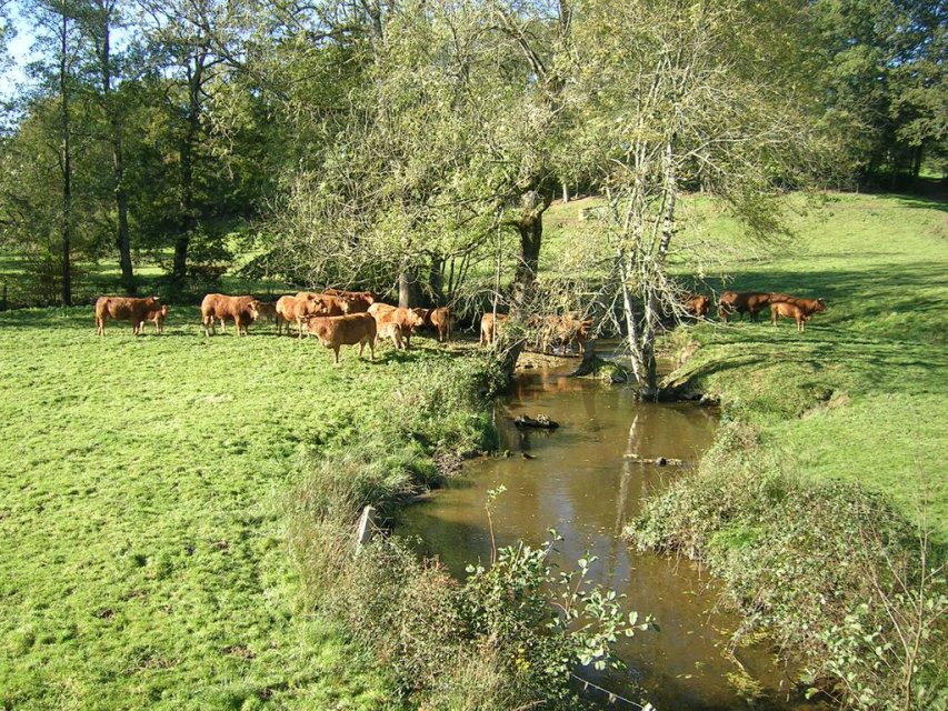 Randonnée Creuse - Randonnée Limousin ©Mairie de Saint Sebastien