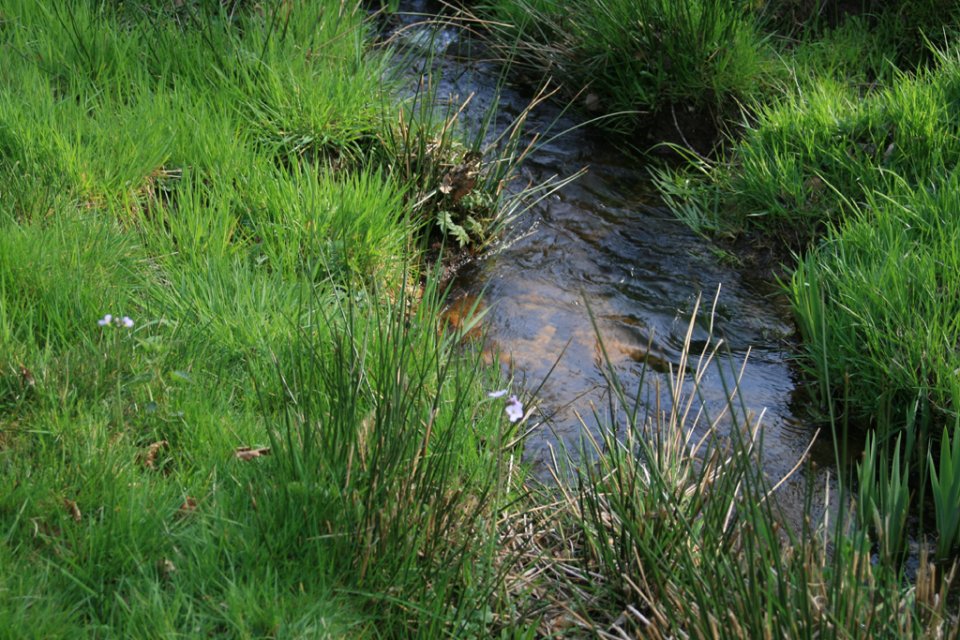 Randonnée Creuse - Randonnée Limousin